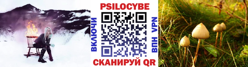 Псилоцибиновые грибы Magic Shrooms  Кораблино 