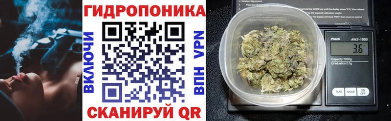дарнет шоп Кораблино Шишки марихуана семена